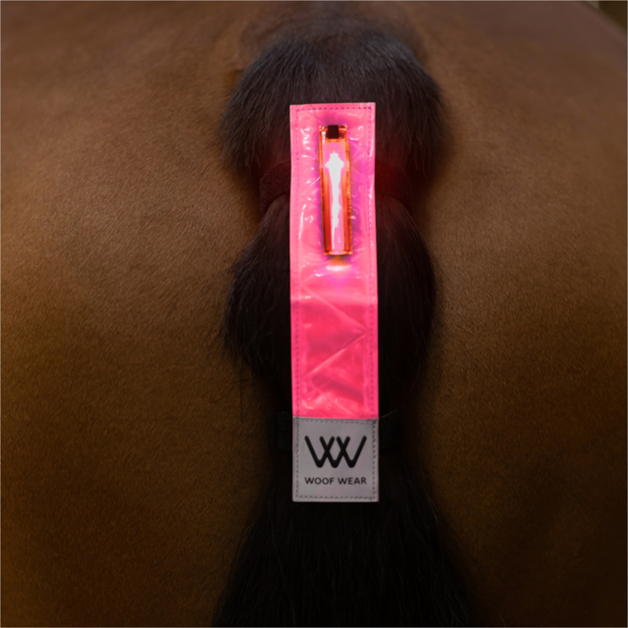 2025 Woof Wear LED Hi Vis Tail Light WS0051 - Hi Viz Pink